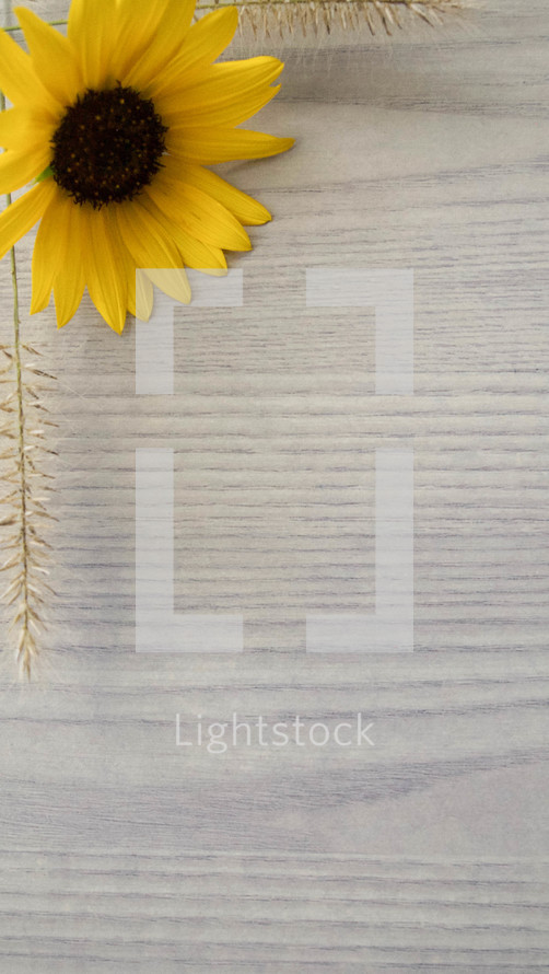 yellow flower and grasses on a wood background 