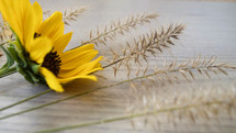 yellow fall flower and grasses on a wood background