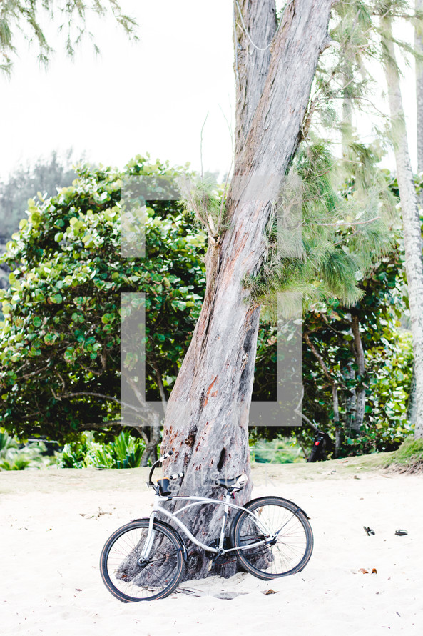 bike parked under a tree on a beach in Hawaii 