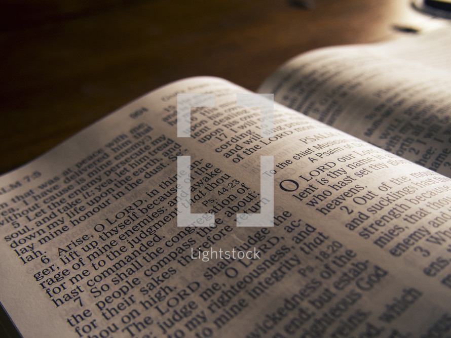 Close up of an open Bible.