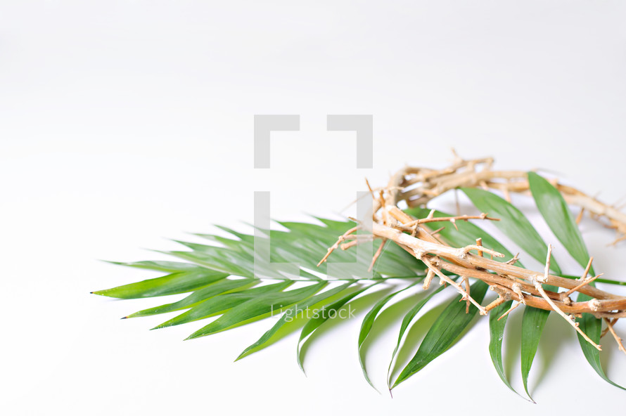 Palm fronds, Palm Sunday, crown of thorns, Good Friday, holy week 