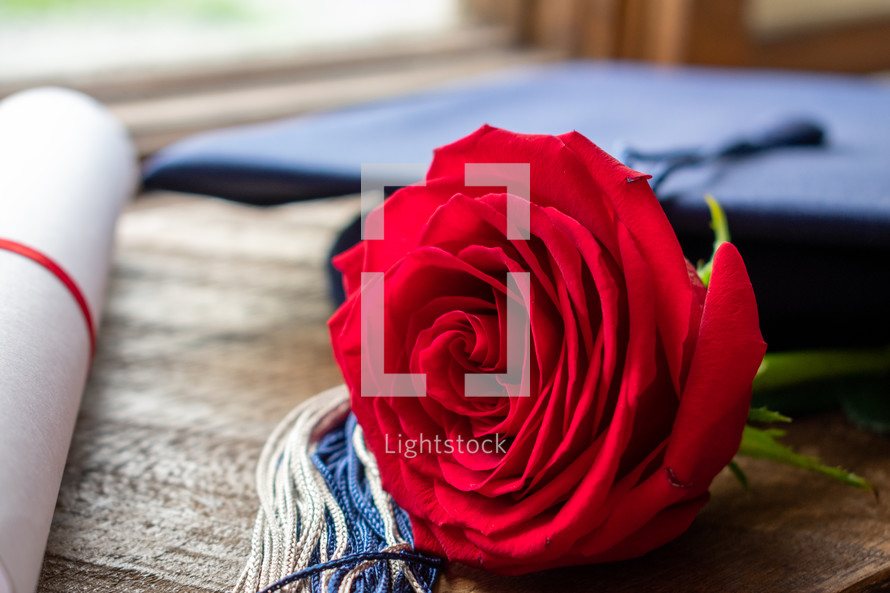 graduation cap, diploma, and red rose 