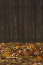 Fall leaves on the ground by picket fence