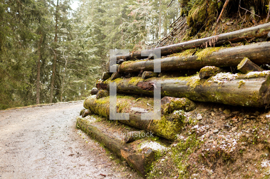 logs supporting ground along a gravel road 