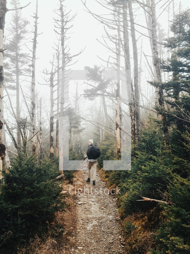 man walking on a path through a forest 