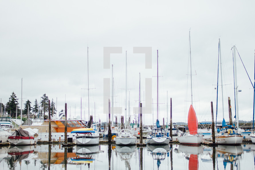 sailboats in a marina 