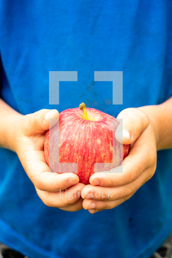 boy holding an apple 