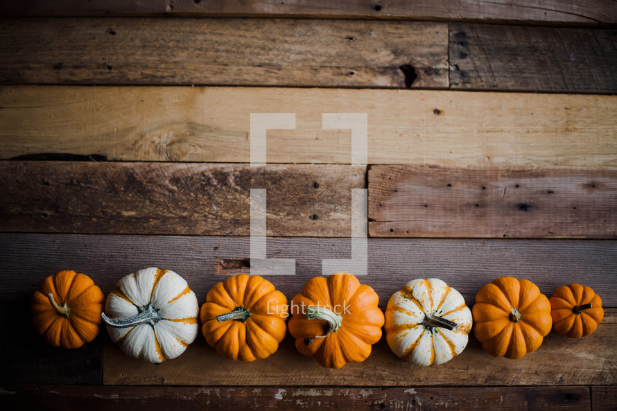 row of pumpkins on wood boards 
