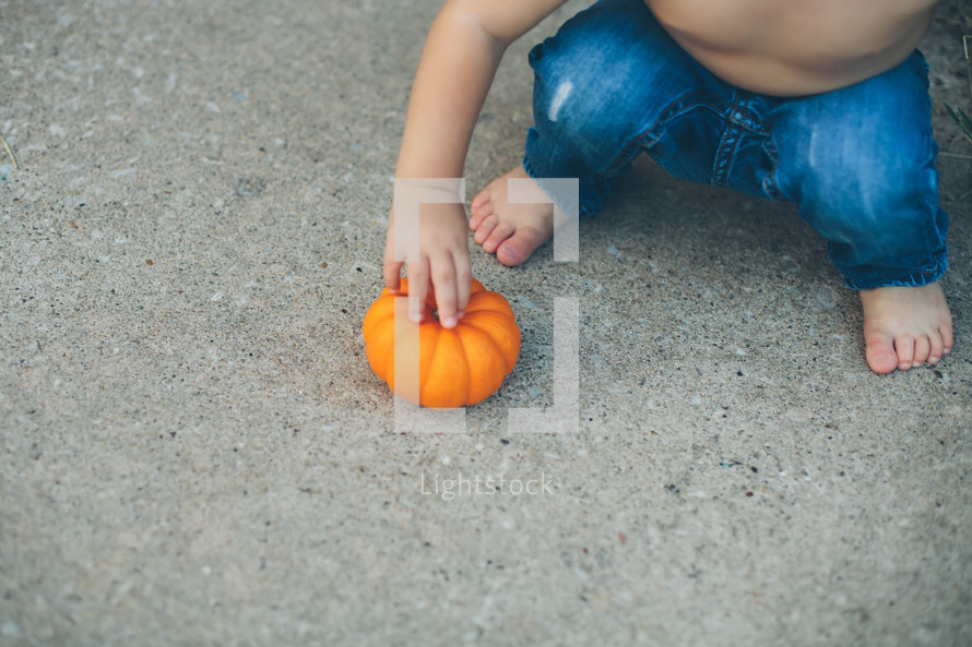 a toddler boy reaching for a pumpkin 