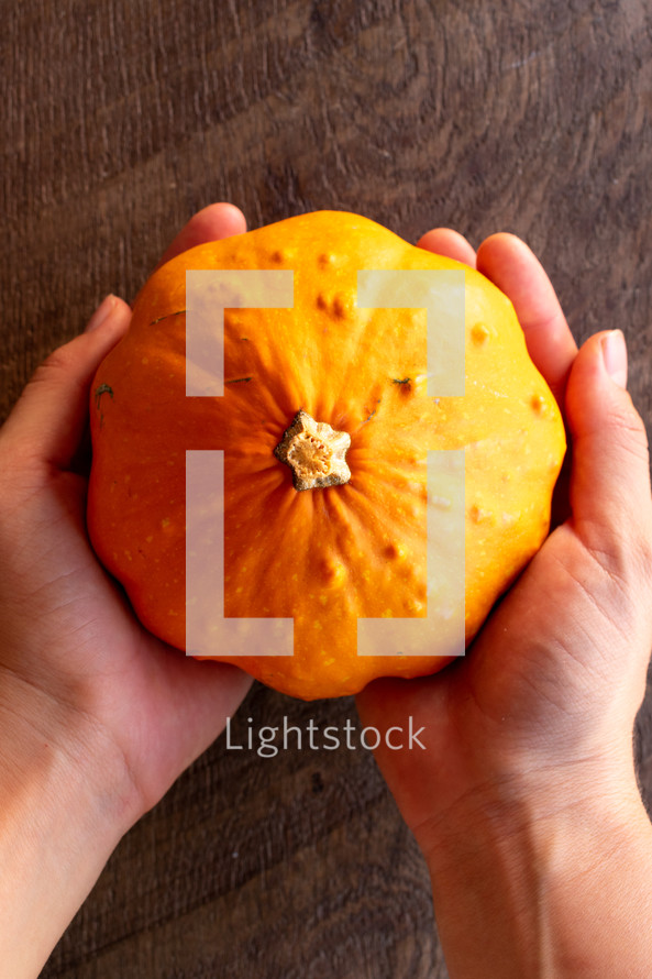 cupped hands with pumpkins 