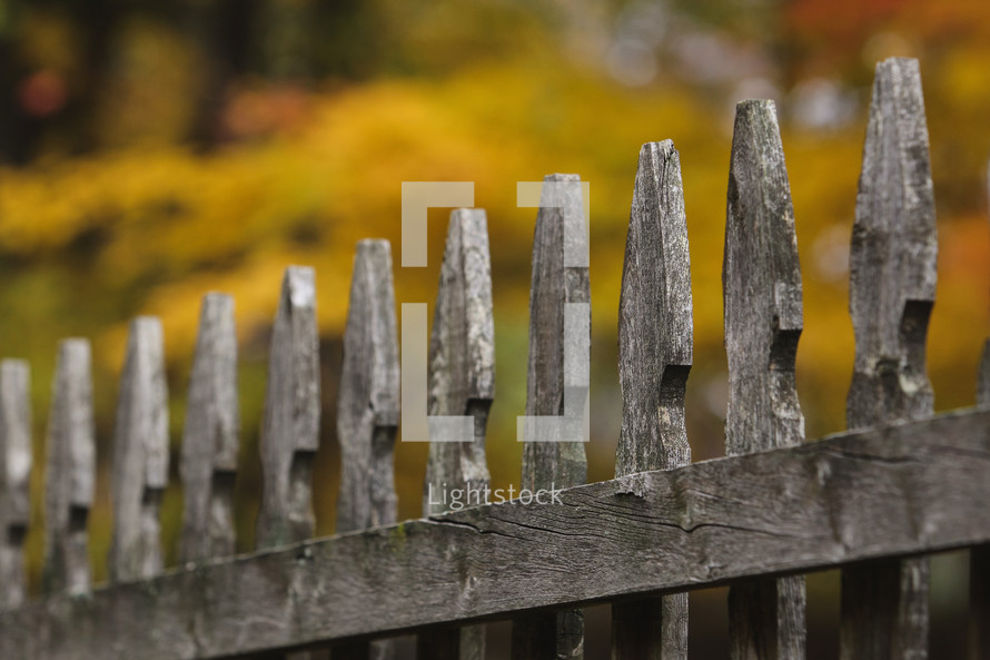 weathered wood fence in fall 
