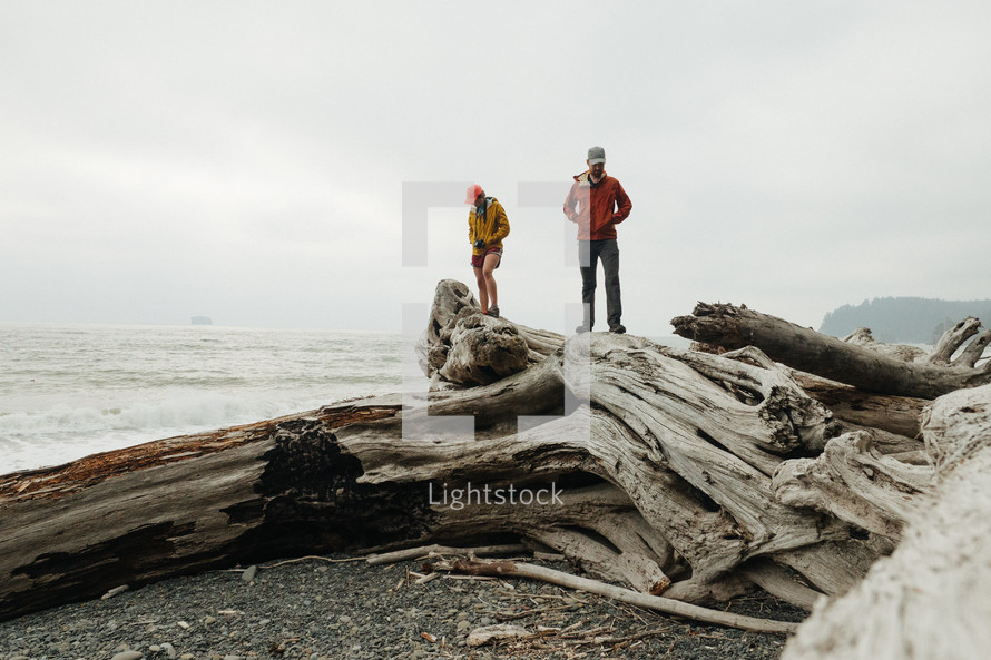 people standing on driftwood on a beach 