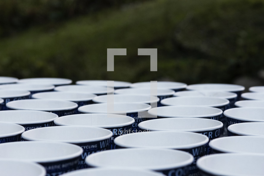 rows of cups 