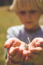 boy child holding a bug 