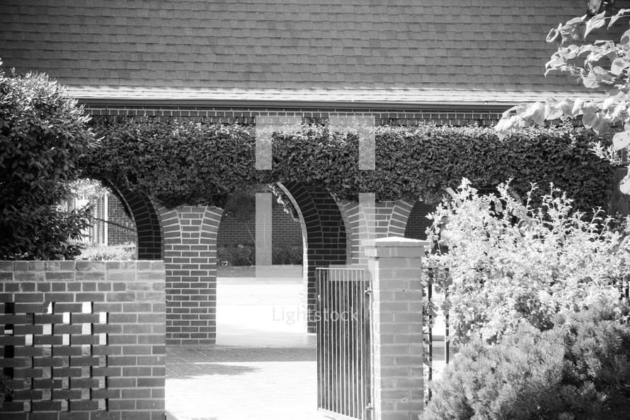 ivy over arched walkway