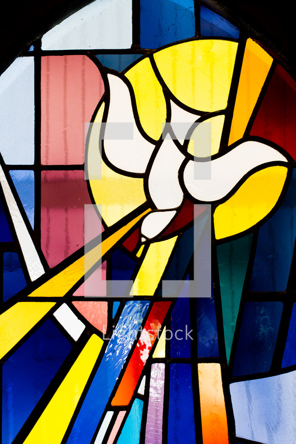 stained glass window of a dove 