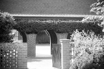 ivy over arched walkway