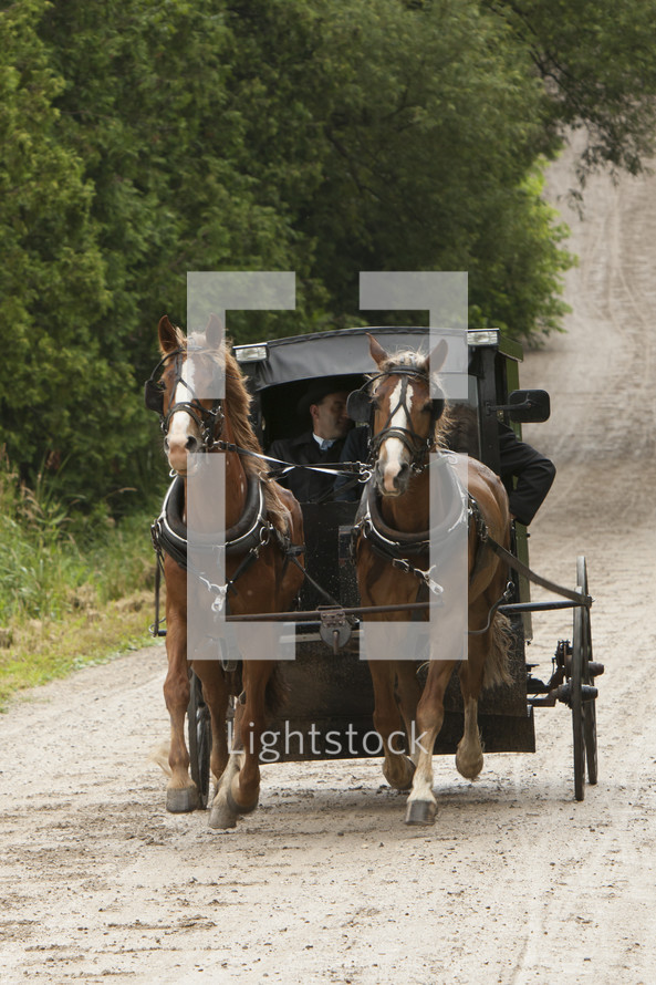 Horses pulling a carriage on a dirt road.