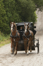Horses pulling a carriage on a dirt road.