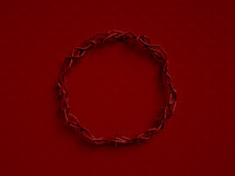 crown of thorns on red 