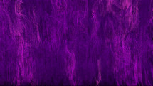 purple on canvas 