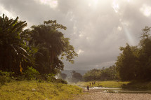 a tropical river scene