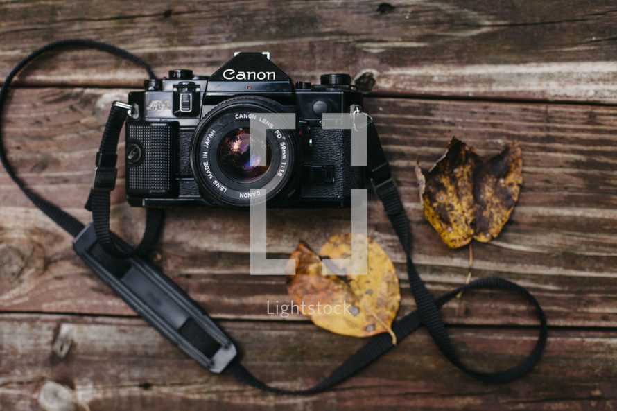 vintage camera and fall leaves 