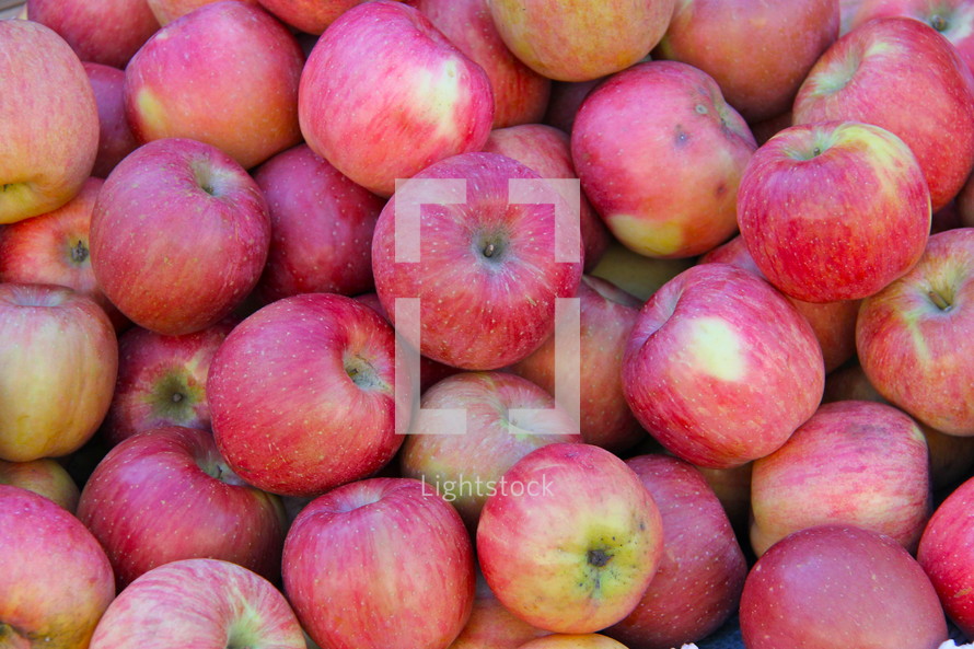Fresh apples at morning market