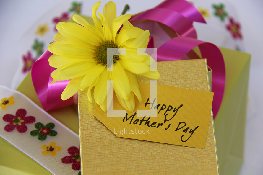 Happy Mother's Day flower, card and gift