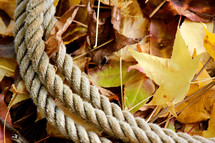 rope on fall leaves 
