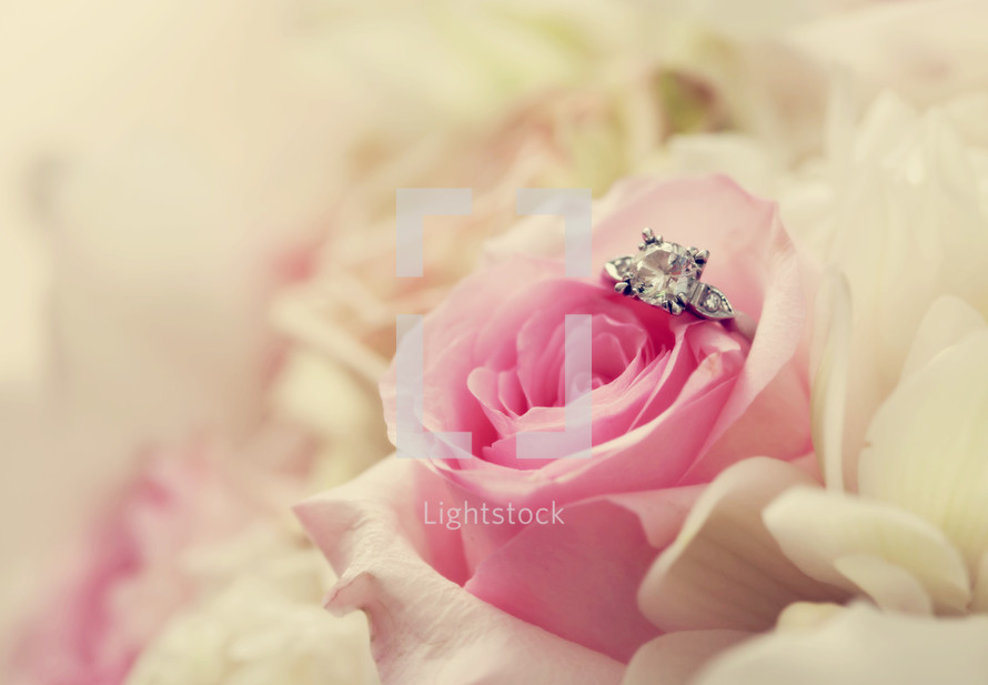 engagement ring on a pink rose