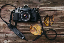 vintage camera and fall leaves 
