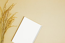 wheat and blank pages in a notebook 