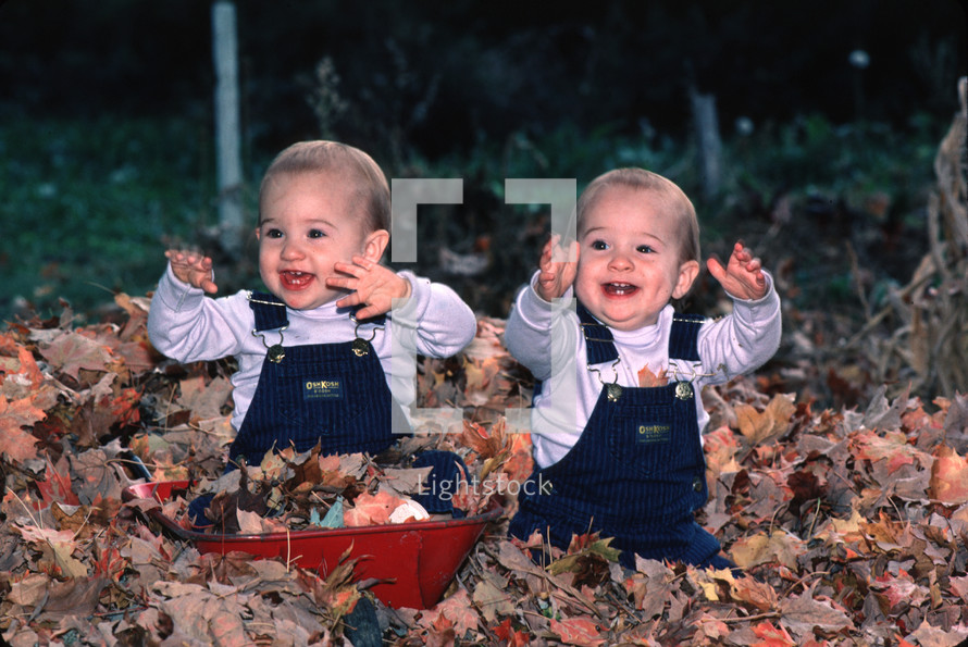 twins playing in fall leaves 