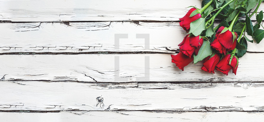 red roses on a white wood background 
