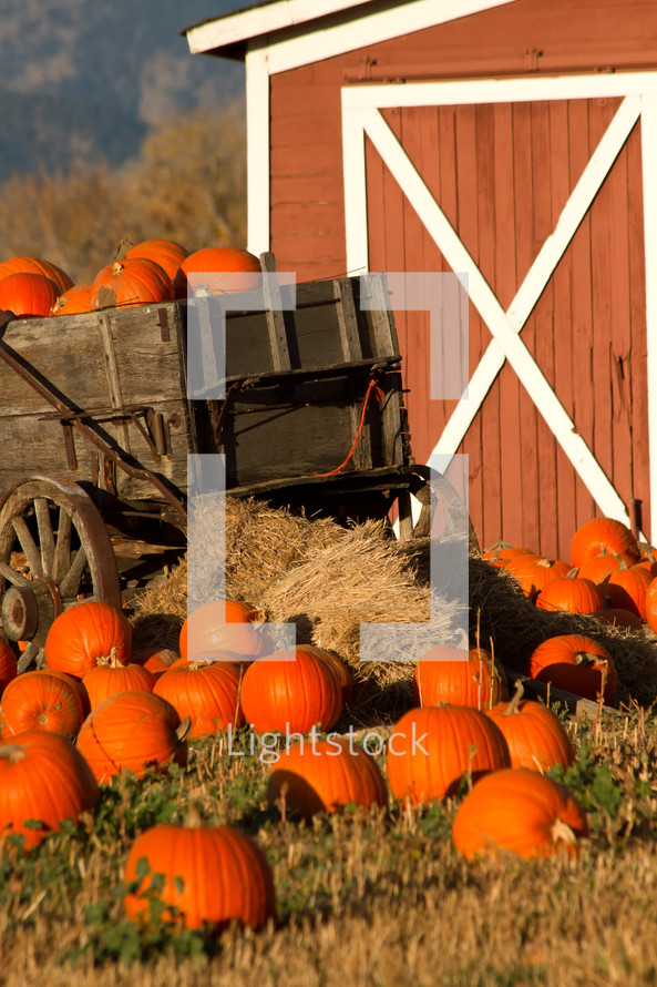 barn and pumpkin in a wagon 
