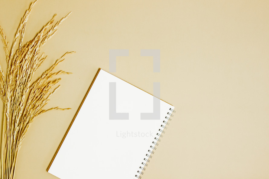 wheat and blank pages in a notebook 
