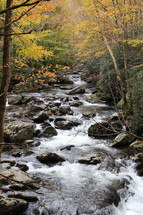 river flowing through a fall forest 