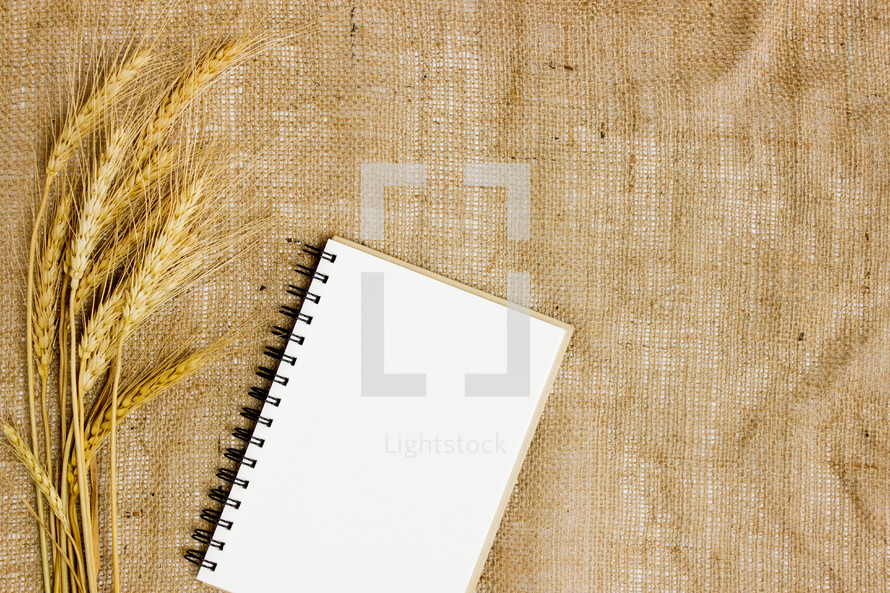 wheat and notebook 