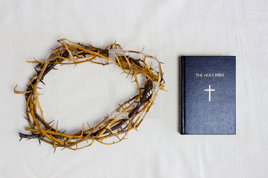 crown of thorns and BIble