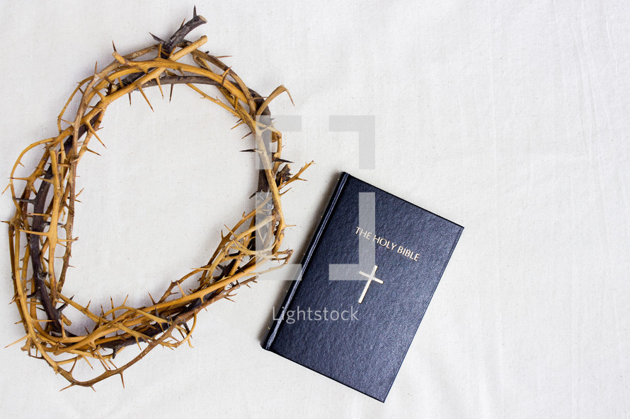 crown of thorns and Bible 