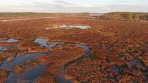 aerial view over a marsh 