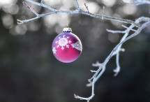 a Christmas ornament hanging on a branch 