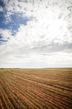 A cloudy sky over a plowed field.