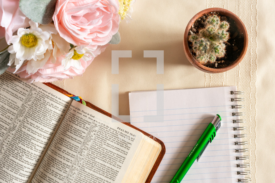 opened Bible, pen, notepad, flowers, and potted cactus 