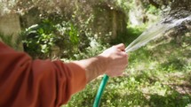 Hand Of A Boy Waters The Plants With The Pump