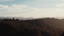 aerial view over a forest at sunset 