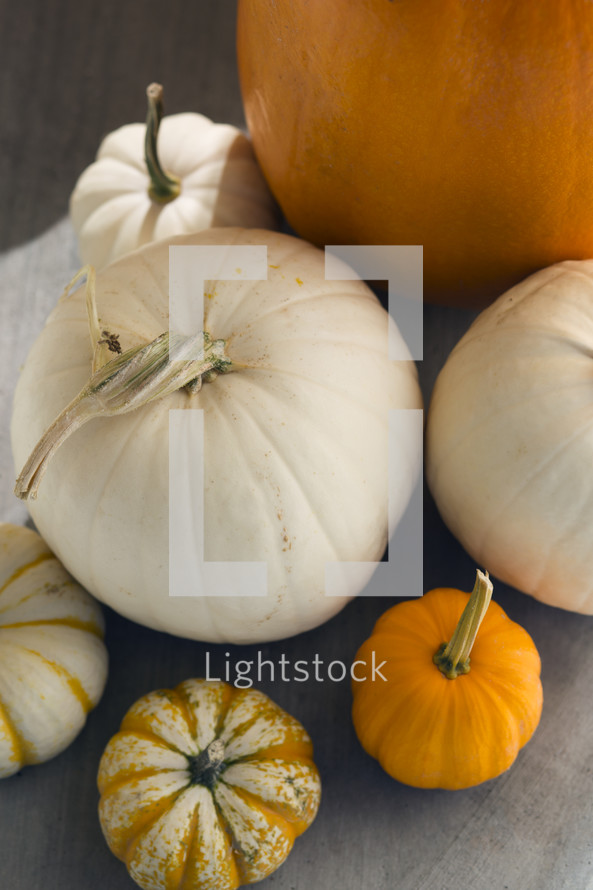 white and orange pumpkins 