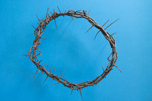 crown of thorns on a blue background 