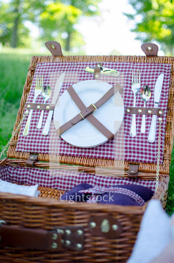 picnic basket in the grass